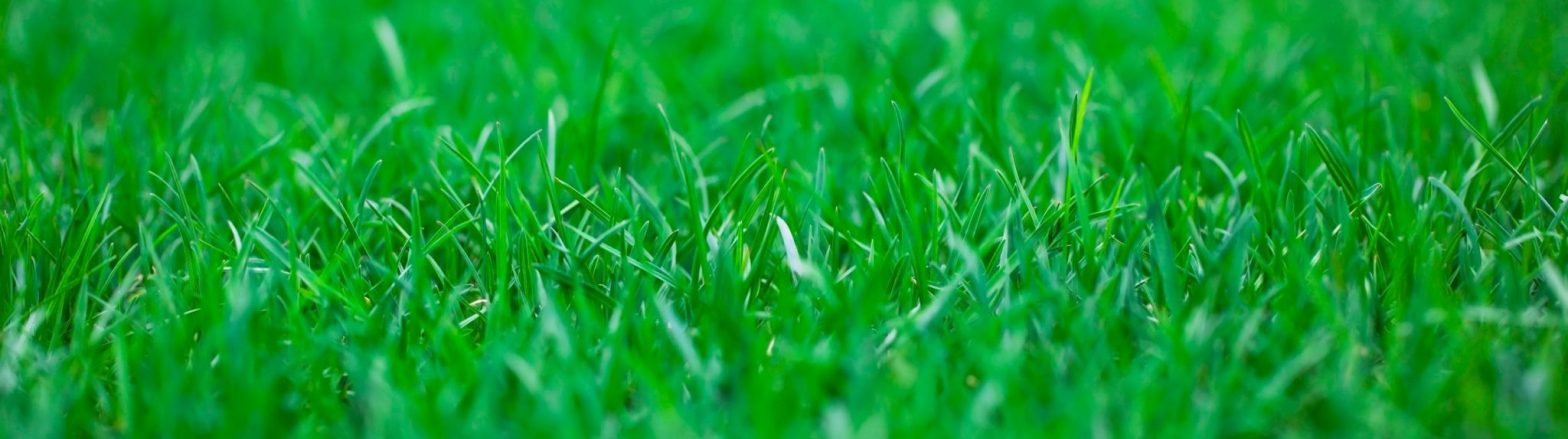 Energy Efficiency with SVNGreen.com