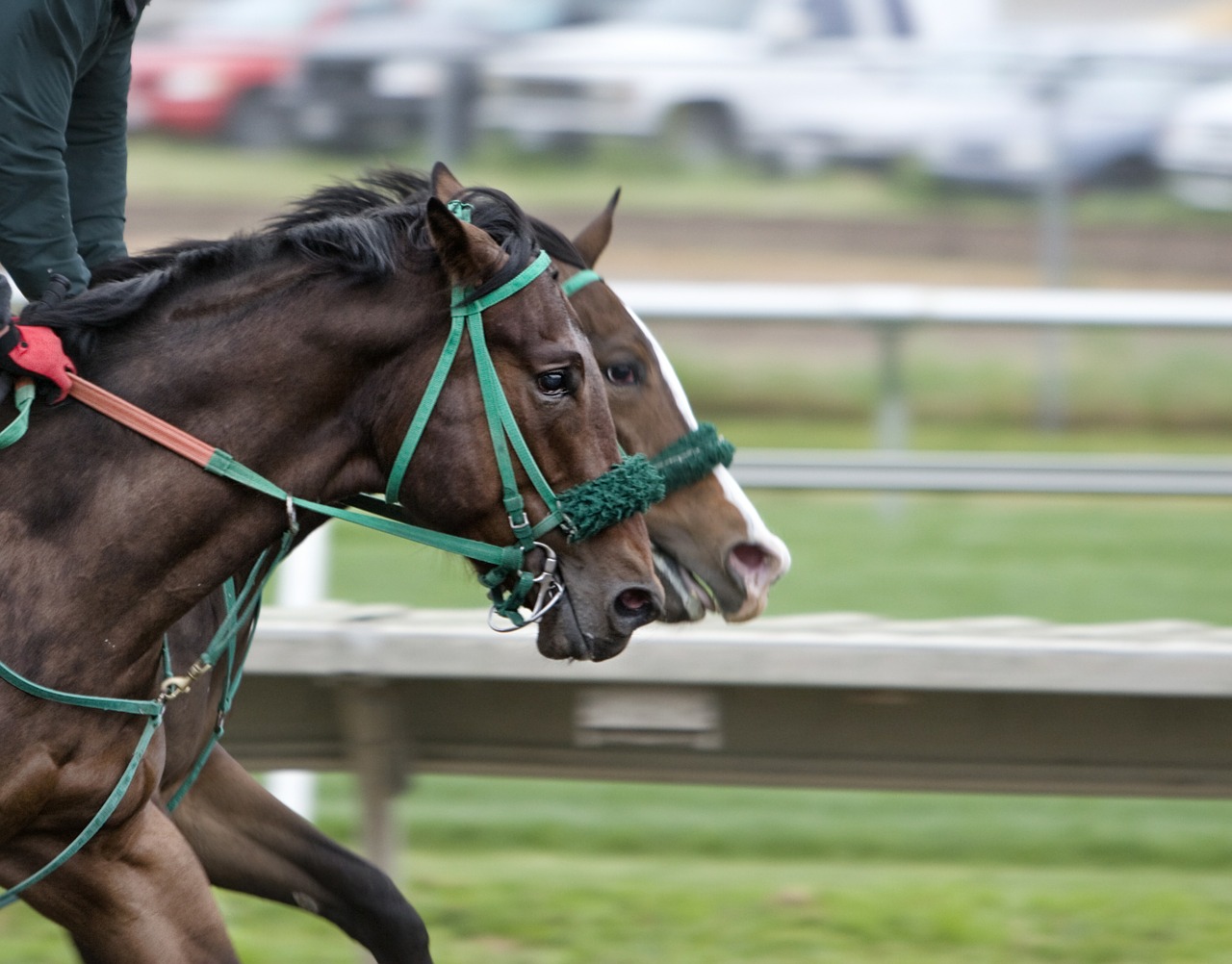 Racing to the Finish Line with Your NNN Investment